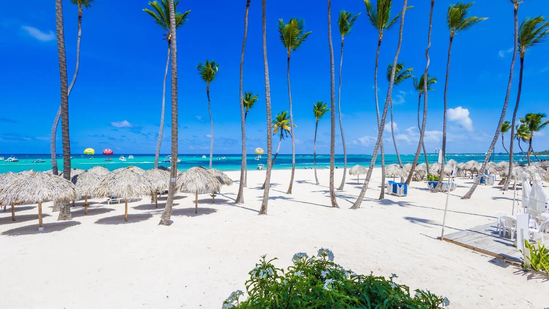 Prime Ocean View Punta Cana Apartments - 3-Bedroom Getaway With Private Terrace On Bavaro Beach Dominican Republic